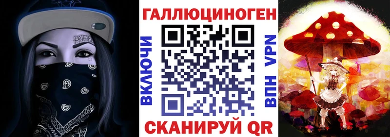 Купить где  Цивильск  Псилоцибиновые грибы Psilocybe 